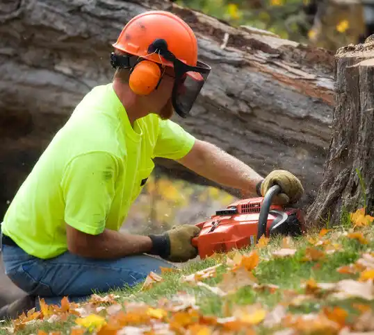 tree services Tiffin